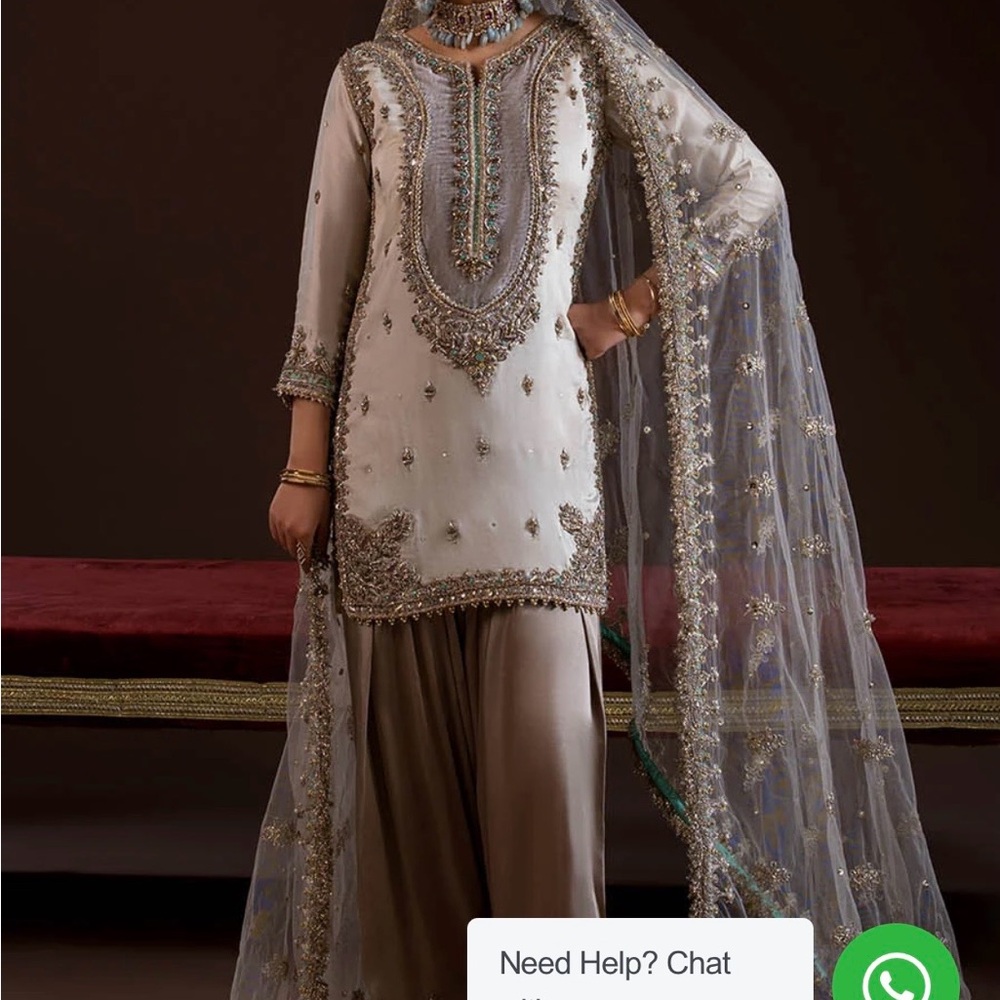 Pakistani designer Elegant Long Sleeve Embroidered Dress
